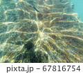 Concrete block under water. Reflection of sun rays under water on a stone. 67816754