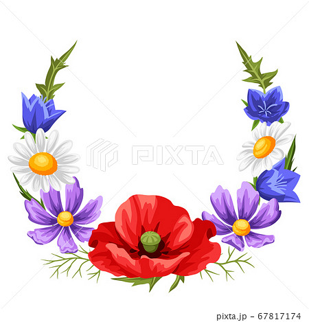 Frame with summer flowers. Frame with summer flowers. 67817174