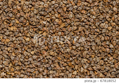 Common buckwheat seeds with husks, close-up. Gluten-free pseudocereal with grain-like seeds, used as a cover crop. Fagopyrum esculentum. Food photo closeup, top view, from above. Background. Common buckwheat seeds with husks, close-up. Gluten-free pseudocereal with grain-like seeds, used as a cover crop. Fagopyrum esculentum. Food photo closeup, top view, from above. Background. 67818052