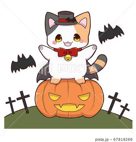 ハロウィンの仮装をする三毛猫 67819266