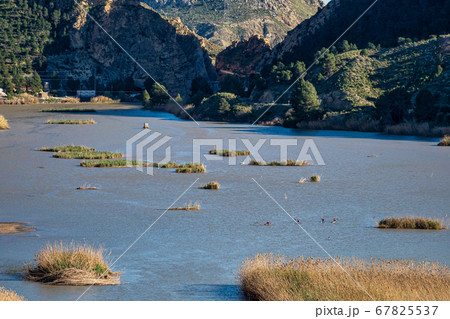 The Ojos reservoir, also called Azud de Ojos in 67825537