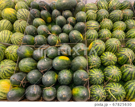 Pile of watermelons for sale at farmer's market Pile of watermelons for sale at farmer's market 67825630