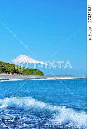 静岡県　青空の三保の松原 67825684