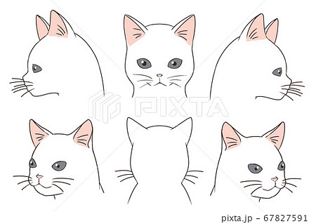 顔アップネコ 白猫のイラスト素材
