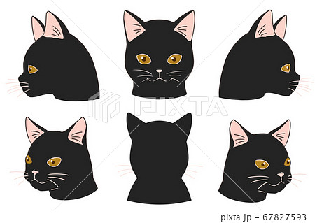 顔アップネコ 黒猫のイラスト素材
