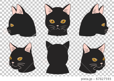 顔アップネコ 黒猫のイラスト素材