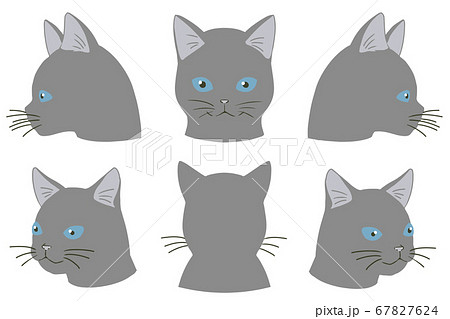 顔アップネコ ロシアンブルー 線無し のイラスト素材