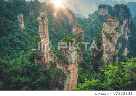 Landscape of Stone Tianzi Mountain pillars in Landscape of Stone Tianzi Mountain pillars in 67828131