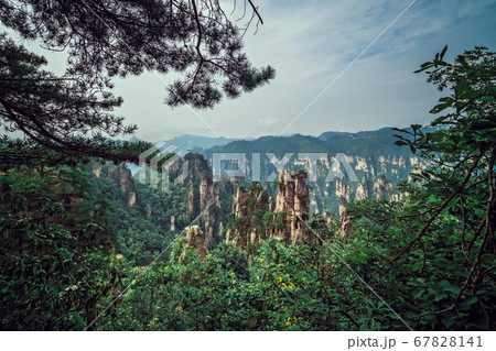 Landscape of Stone Tianzi Mountain pillars in Landscape of Stone Tianzi Mountain pillars in 67828141
