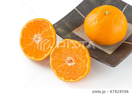 完熟温州みかん 完熟温州みかん 67828596