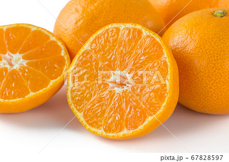 完熟温州みかん 67828597