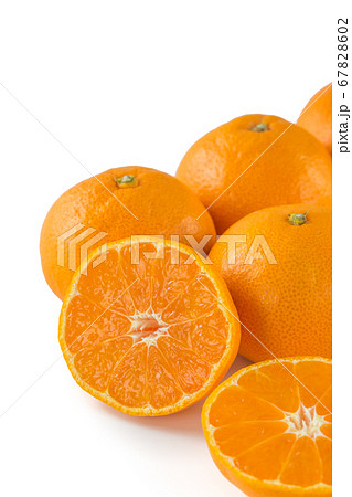 完熟温州みかん 完熟温州みかん 67828602