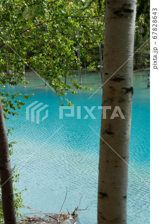 細波が立つ青い池の水面 67828643