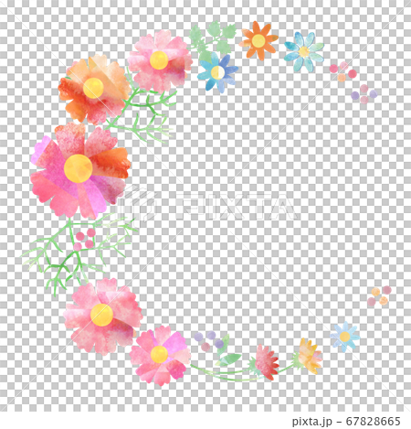 Cosmos _ watercolor wreath frame 67828665