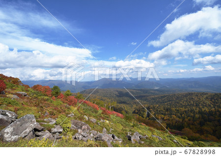 銀泉台の紅葉(北海道・上川町・大雪山系) 銀泉台の紅葉(北海道・上川町・大雪山系) 67828998