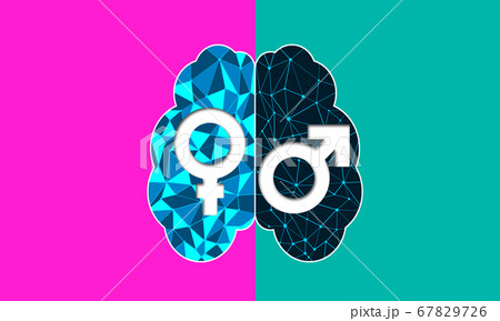Concept of male and female brain 67829726