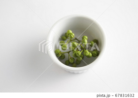山椒の実 67831632