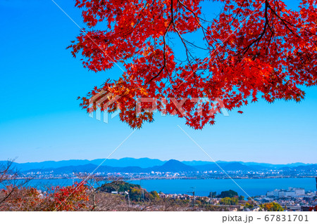 西教寺の紅葉 67831701