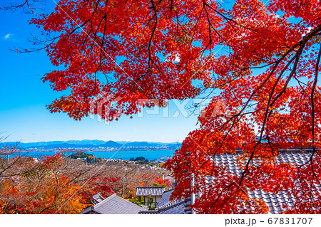 西教寺の紅葉 67831707