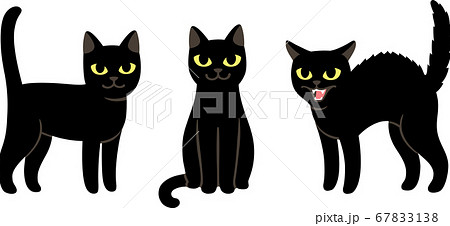 Cartoon Black Cat Setのイラスト素材
