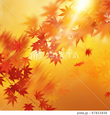 日本の秋をイメージした背景のイラスト素材 6736