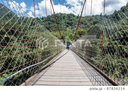 鶏冠 とさか クレスト 67834214