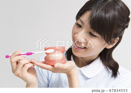 歯磨き指導 歯磨き指導 67834555