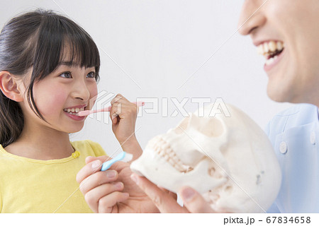 女の子に歯磨き指導をする男性歯科医 67834658