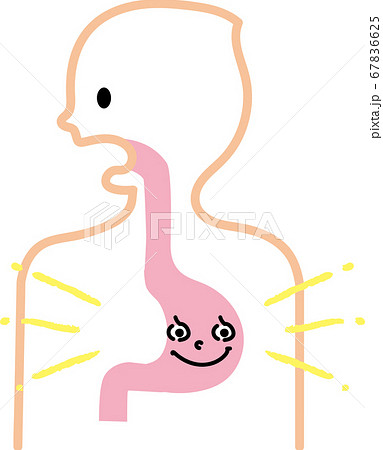 元気な胃のイラスト素材