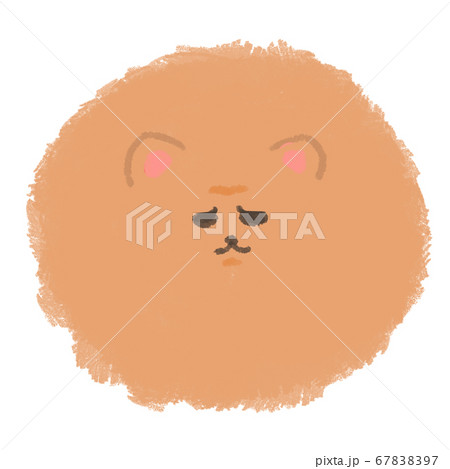 ふてくされたポメラニアン 茶のイラスト素材 6797