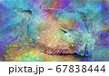 カラフルなヒラメのイラスト 67838444