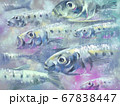 カラフルなイワシの群れのイラスト 67838447