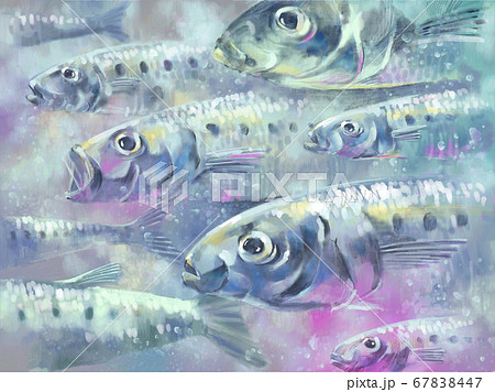 カラフルなイワシの群れのイラストのイラスト素材
