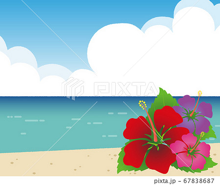 晴れた夏の海と入道空とカラフルなハイビスカスのイラストのイラスト素材