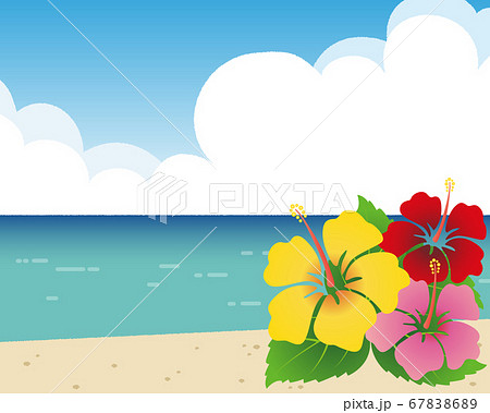 晴れた夏の海と入道雲とカラフルなハイビスカスのイラストのイラスト素材 6786
