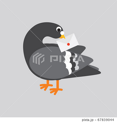Flat Design Post Pigeon The use of pigeons to send information is a communication 67839044