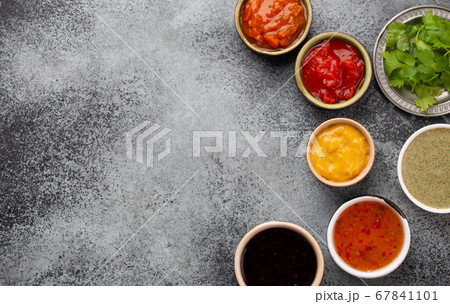Assorted Indian chutneys 67841101