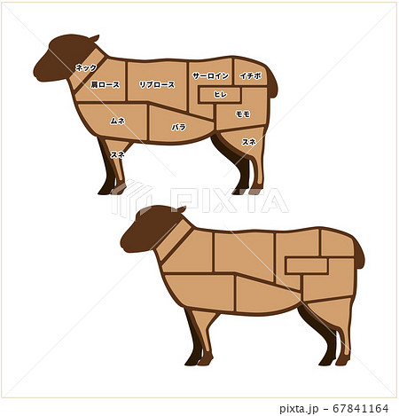 羊肉の部位　イラスト 67841164