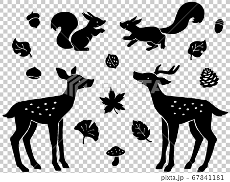 シカとリスのペア 木の葉と木の実の手描きシルエットイラストセットのイラスト素材