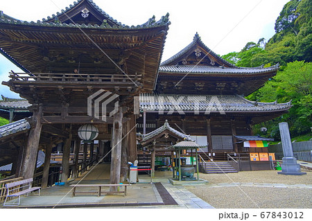 大和路の花の御寺 長谷寺 大和路の花の御寺 長谷寺 67843012