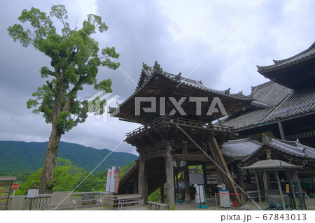 大和路の花の御寺　長谷寺 67843013