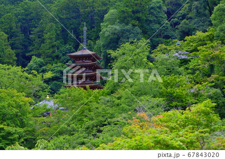 大和路の花の御寺 長谷寺 大和路の花の御寺 長谷寺 67843020
