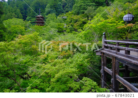 大和路の花の御寺　長谷寺 67843021