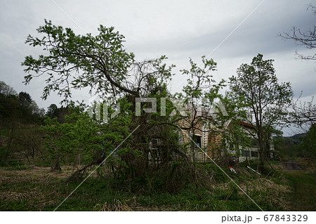 廃墟　オリンピック・イン妙高高原　妙高パノラマパークスキー場　パノラマパーク 新潟県妙高市　廃ホテル 67843329