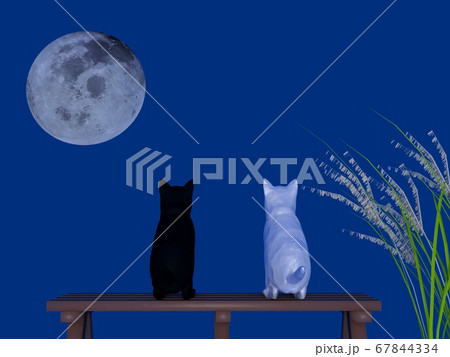 お月見をする猫たちのイラスト素材