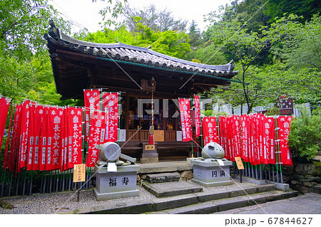 大和路の花の御寺 長谷寺 大和路の花の御寺 長谷寺 67844627