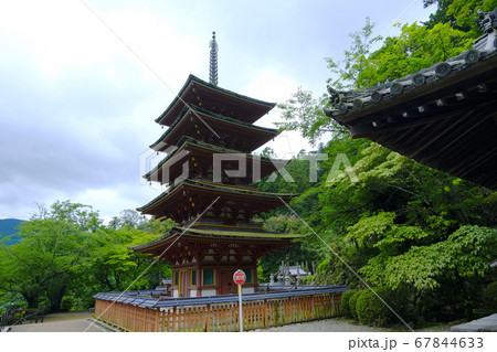大和路の花の御寺 長谷寺 大和路の花の御寺 長谷寺 67844633