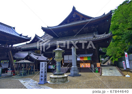 大和路の花の御寺　長谷寺 67844640