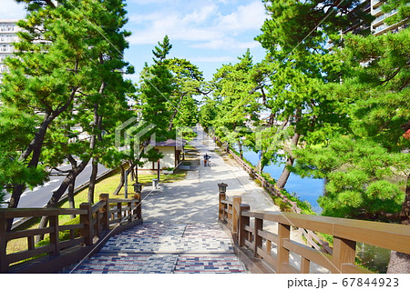 草加松原(埼玉県草加市) 草加松原(埼玉県草加市) 67844923