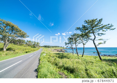 青森県八戸市種差海岸　東山魁夷の「道」のモチーフになった風景 67844971